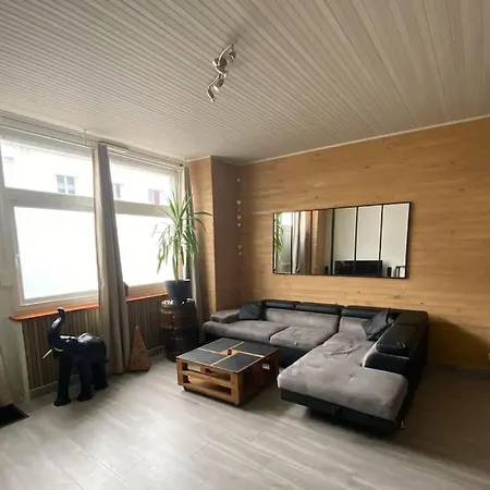 Appartamento Chaleureux Avec Terrasse En Centre Proche *
